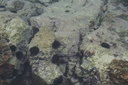 gal/cro 08/_thb_small-IMG_4545.JPG